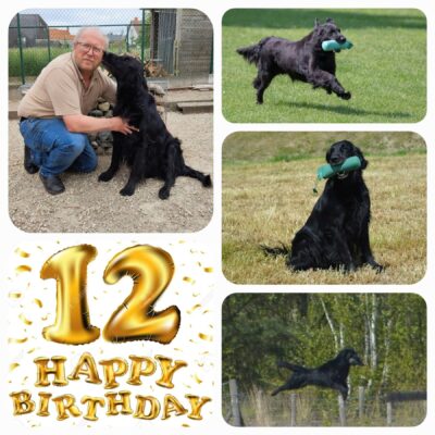 Happy Birthday Jimbei, 12 years how time flies…
